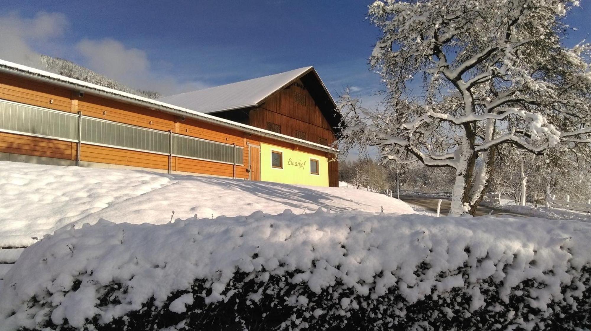 Linarhof Apartment Urlaub Am Bio Bauernhof เฮาส์ อิม เอนน์สทาล ภายนอก รูปภาพ